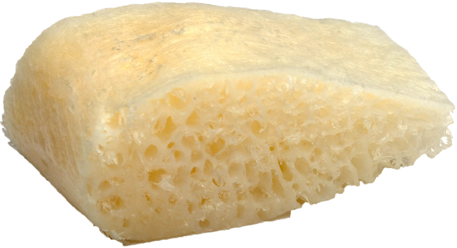 GT 2745 - Corticosspongiosa Chip, J-form , 4-5mm Stärke, 10 x 10-15mm