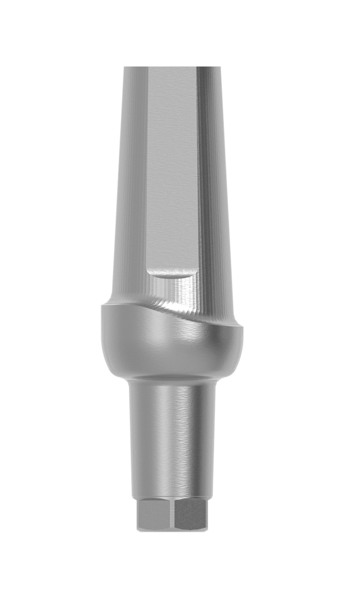 AA 500030.H/3PRO - 5,0 x 3,0mm 0° Anatomic Aufbau mit 3mm Pfosten indexiert